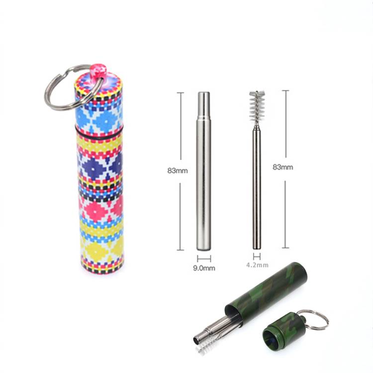 Extendable Straw With Case Keyring & Cleaning Brush, keychain case