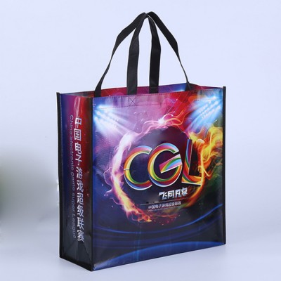 laminated reusable custom printed pp non woven shopping bags ,grocery shopping bag